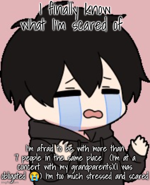 Shadow:cry | I finally know what I'm scared of; I'm afraid to be with more than 7 people in the same place  (I'm at a concert with my grandparents)(I was obligated 😭) I'm too much stressed and scared | image tagged in shadow cry | made w/ Imgflip meme maker