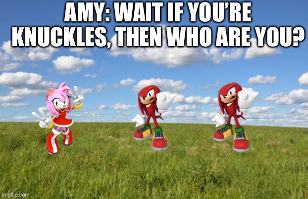 Bewear in the sonic world: part 1 | AMY: WAIT IF YOU’RE KNUCKLES, THEN WHO ARE YOU? | image tagged in grassland | made w/ Imgflip meme maker