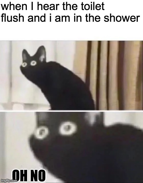 Oh No Black Cat | when I hear the toilet flush and i am in the shower; OH NO | image tagged in oh no black cat | made w/ Imgflip meme maker