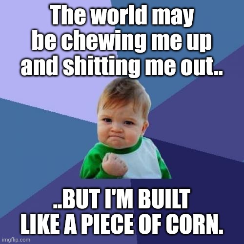Built like corn |  The world may be chewing me up and shitting me out.. ..BUT I'M BUILT LIKE A PIECE OF CORN. | image tagged in memes,success kid | made w/ Imgflip meme maker