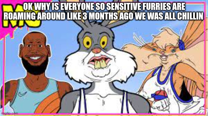 meat canyon | OK WHY IS EVERYONE SO SENSITIVE FURRIES ARE ROAMING AROUND LIKE 3 MONTHS AGO WE WAS ALL CHILLIN | image tagged in meat canyon | made w/ Imgflip meme maker