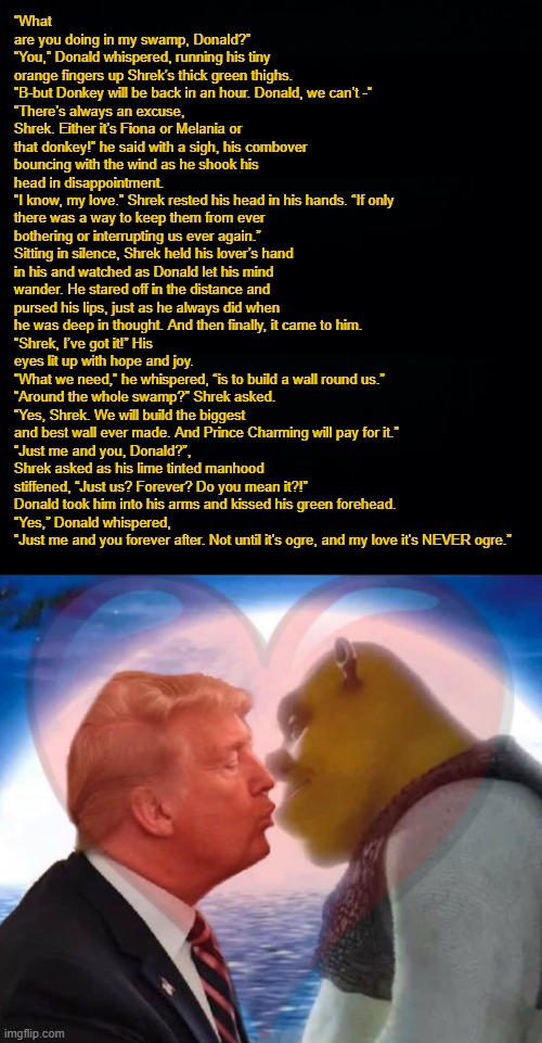image tagged in memes,shrek,donald trump,love,story,fanfiction | made w/ Imgflip meme maker
