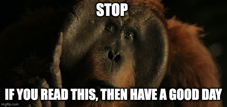 Stop | STOP; IF YOU READ THIS, THEN HAVE A GOOD DAY | image tagged in stop right there maurice | made w/ Imgflip meme maker