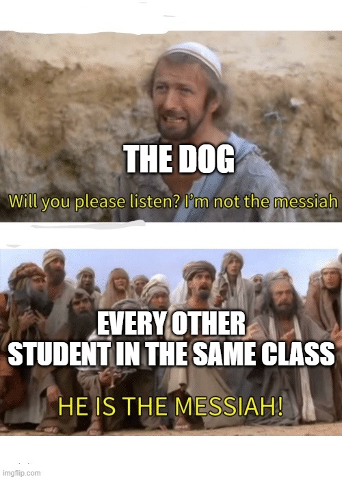 THE DOG EVERY OTHER STUDENT IN THE SAME CLASS | image tagged in he is the messiah | made w/ Imgflip meme maker