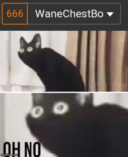 oh god | image tagged in oh no cat,666,cursed,cursed image | made w/ Imgflip meme maker