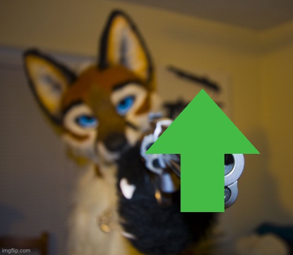 Furry with gun | image tagged in furry with gun | made w/ Imgflip meme maker