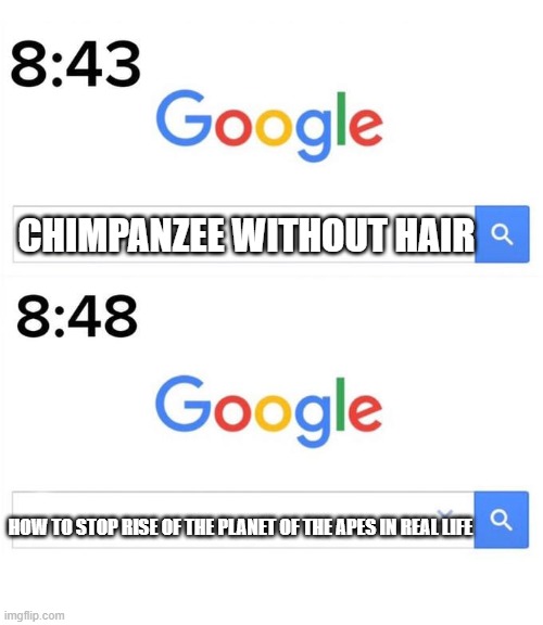 it's true | CHIMPANZEE WITHOUT HAIR; HOW TO STOP RISE OF THE PLANET OF THE APES IN REAL LIFE | image tagged in google before after | made w/ Imgflip meme maker