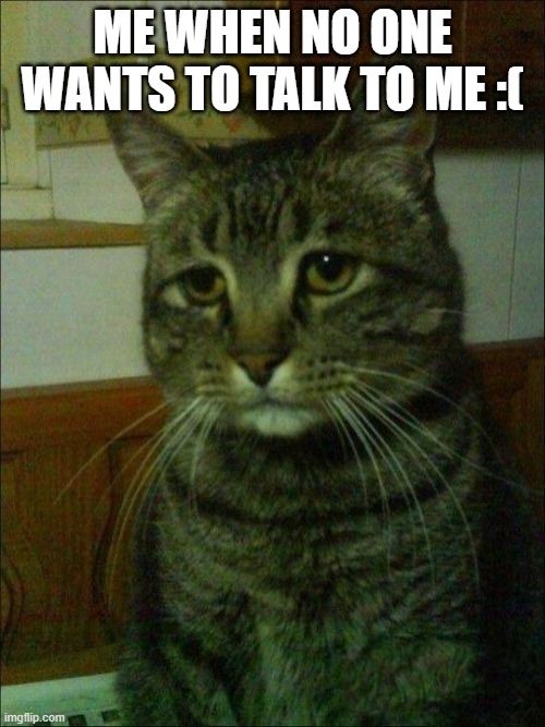 . |  ME WHEN NO ONE WANTS TO TALK TO ME :( | image tagged in memes,depressed cat,sad,cat | made w/ Imgflip meme maker