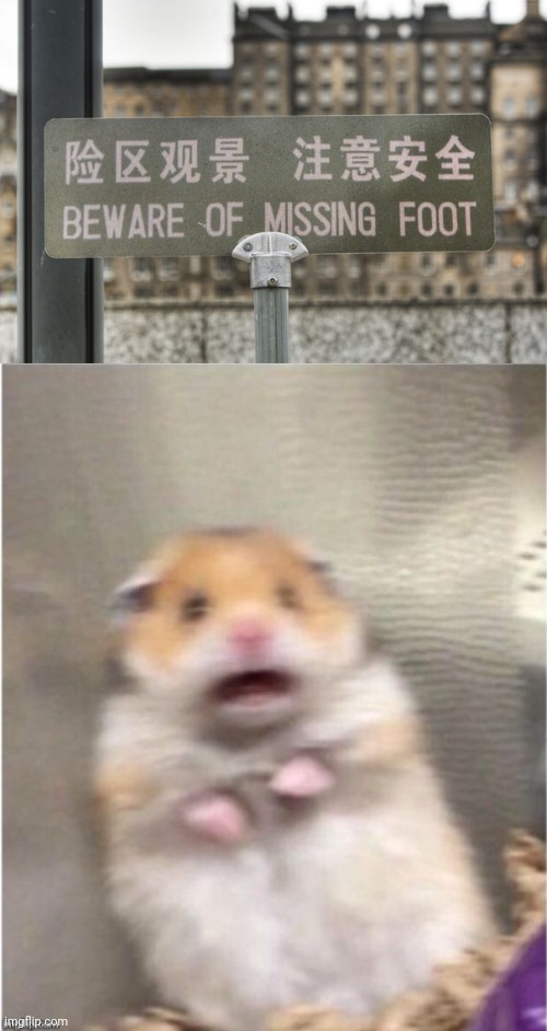 Missing foot | image tagged in scared hamster,foot,feet,beware,caution sign,memes | made w/ Imgflip meme maker