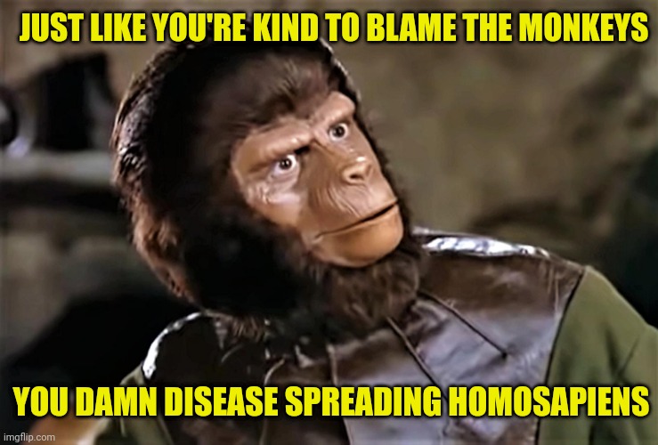 JUST LIKE YOU'RE KIND TO BLAME THE MONKEYS YOU DAMN DISEASE SPREADING HOMOSAPIENS | made w/ Imgflip meme maker