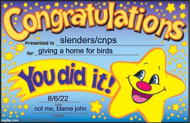 Happy Star Congratulations | slenders/cnps; giving a home for birds; 8/6/22; not me, blame john | image tagged in memes,happy star congratulations | made w/ Imgflip meme maker