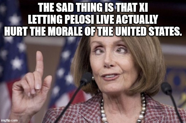 Painful truth. | THE SAD THING IS THAT XI LETTING PELOSI LIVE ACTUALLY HURT THE MORALE OF THE UNITED STATES. | image tagged in nancy pelosi,corrupt,too dumb to live,political meme | made w/ Imgflip meme maker
