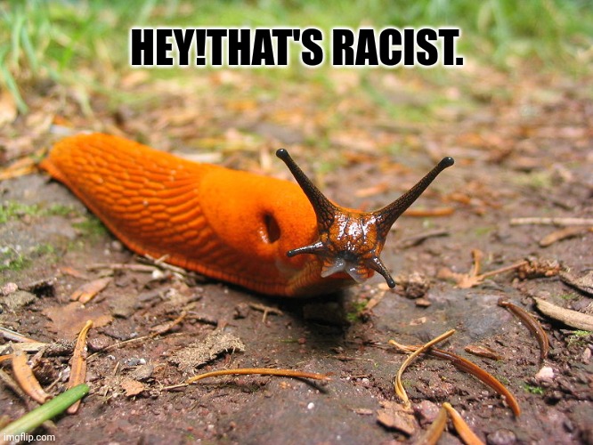 Slug belated birthday | HEY!THAT'S RACIST. | image tagged in slug belated birthday | made w/ Imgflip meme maker