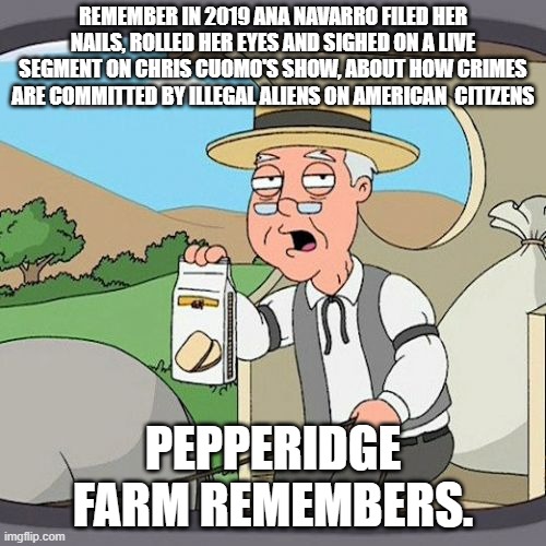 Ana Navarro is a liberal scum sucking communist fat piggy. | REMEMBER IN 2019 ANA NAVARRO FILED HER NAILS, ROLLED HER EYES AND SIGHED ON A LIVE SEGMENT ON CHRIS CUOMO'S SHOW, ABOUT HOW CRIMES ARE COMMITTED BY ILLEGAL ALIENS ON AMERICAN  CITIZENS; PEPPERIDGE FARM REMEMBERS. | image tagged in memes,pepperidge farm remembers,cnn,illegal aliens,americans,crime | made w/ Imgflip meme maker