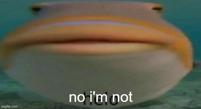 helo | no i'm not | image tagged in helo | made w/ Imgflip meme maker