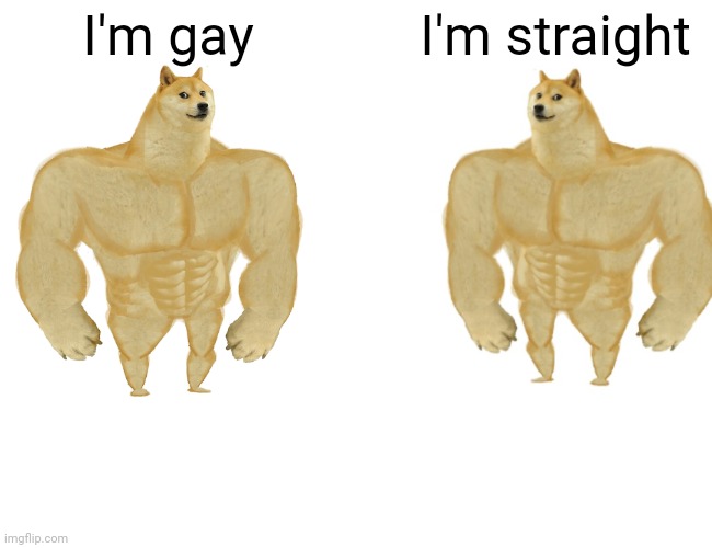 Equality | I'm gay; I'm straight | image tagged in memes,buff doge vs cheems | made w/ Imgflip meme maker
