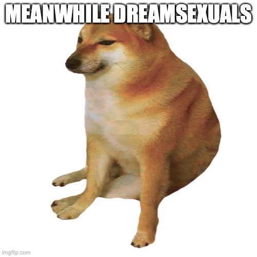 cheems | MEANWHILE DREAMSEXUALS | image tagged in cheems | made w/ Imgflip meme maker