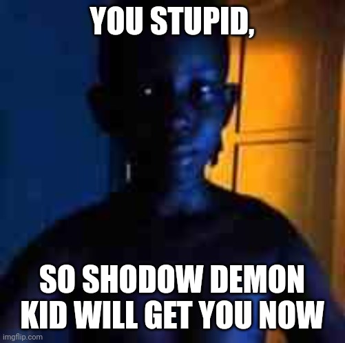 you stupid | YOU STUPID, SO SHODOW DEMON KID WILL GET YOU NOW | image tagged in you stupid | made w/ Imgflip meme maker