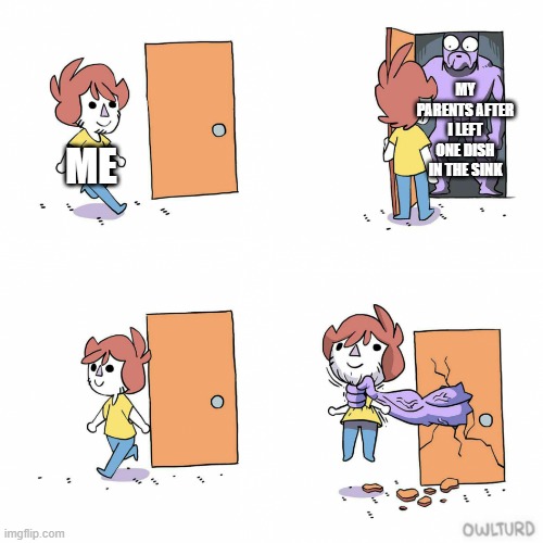 Accidentally left one dish in the sink | MY PARENTS AFTER I LEFT ONE DISH IN THE SINK; ME | image tagged in owlturd door,washing dishes | made w/ Imgflip meme maker