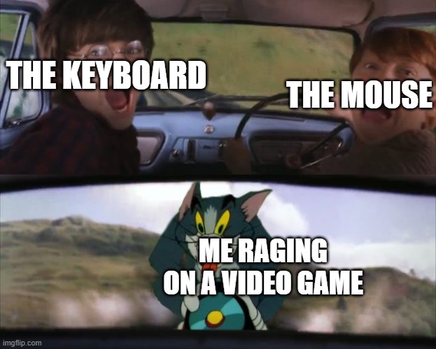 true fact for me | THE MOUSE; THE KEYBOARD; ME RAGING ON A VIDEO GAME | image tagged in tom from t j chasing harry and ron | made w/ Imgflip meme maker
