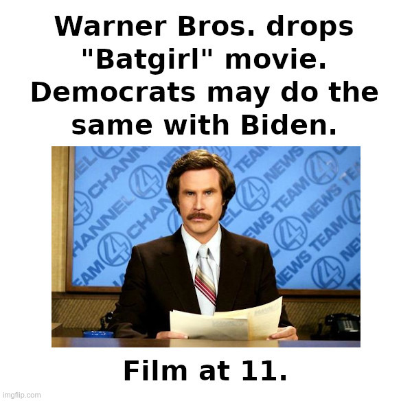 Batgirl Now, Joe Biden Later? | image tagged in batgirl,democrats,dump,joe biden,ron burgundy | made w/ Imgflip meme maker