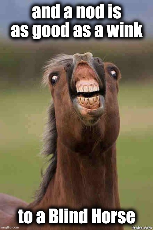 horse face | and a nod is as good as a wink to a Blind Horse | image tagged in horse face | made w/ Imgflip meme maker