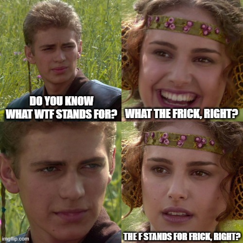 WTFrick | DO YOU KNOW WHAT WTF STANDS FOR? WHAT THE FRICK, RIGHT? THE F STANDS FOR FRICK, RIGHT? | image tagged in anakin padme 4 panel | made w/ Imgflip meme maker
