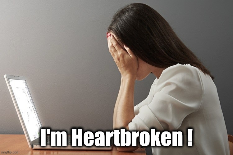 Crying at laptop computer | I'm Heartbroken ! | image tagged in crying at laptop computer | made w/ Imgflip meme maker