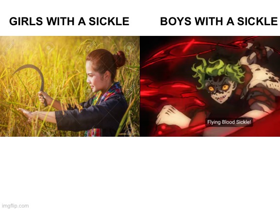 Blank White Template | BOYS WITH A SICKLE; GIRLS WITH A SICKLE | image tagged in boys vs girls,sickle,demon slayer,gyutaro | made w/ Imgflip meme maker