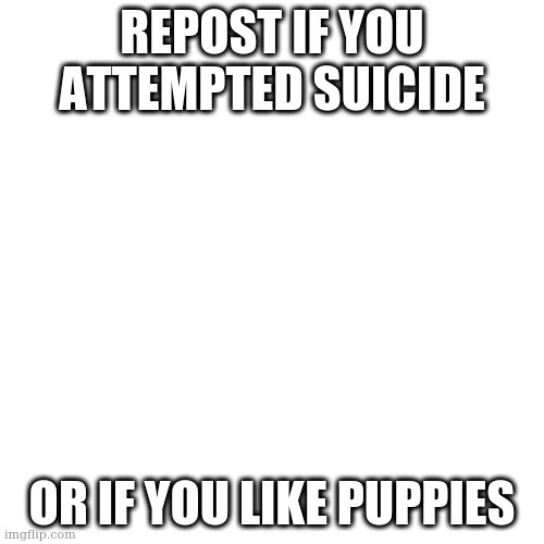 repost this | REPOST IF YOU ATTEMPTED SUICIDE; OR IF YOU LIKE PUPPIES | image tagged in memes,blank transparent square | made w/ Imgflip meme maker