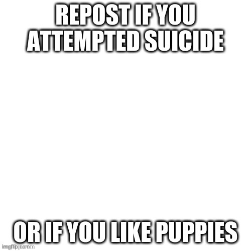 puppies :) | made w/ Imgflip meme maker