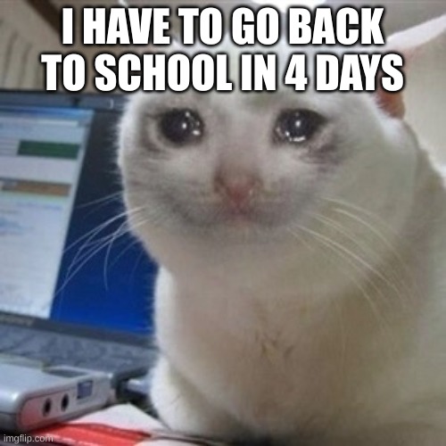 Crying cat | I HAVE TO GO BACK TO SCHOOL IN 4 DAYS | image tagged in crying cat | made w/ Imgflip meme maker