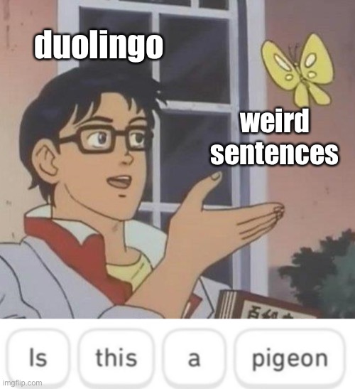 Is This Duolingo | duolingo; weird sentences | image tagged in memes,is this a pigeon | made w/ Imgflip meme maker