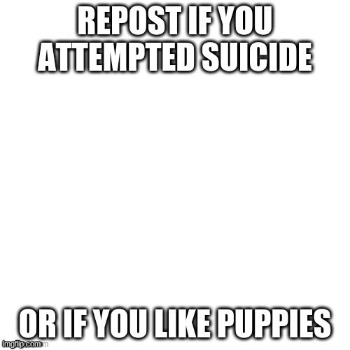 puppies 4 mii | made w/ Imgflip meme maker
