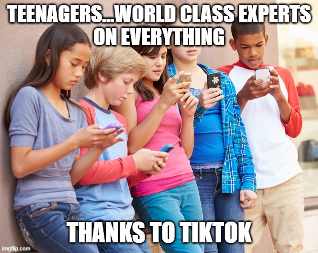Teenage experts | TEENAGERS...WORLD CLASS EXPERTS
ON EVERYTHING; THANKS TO TIKTOK | image tagged in teenagers | made w/ Imgflip meme maker