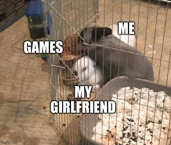 Bunny Step | ME; GAMES; MY GIRLFRIEND | image tagged in bunny step | made w/ Imgflip meme maker