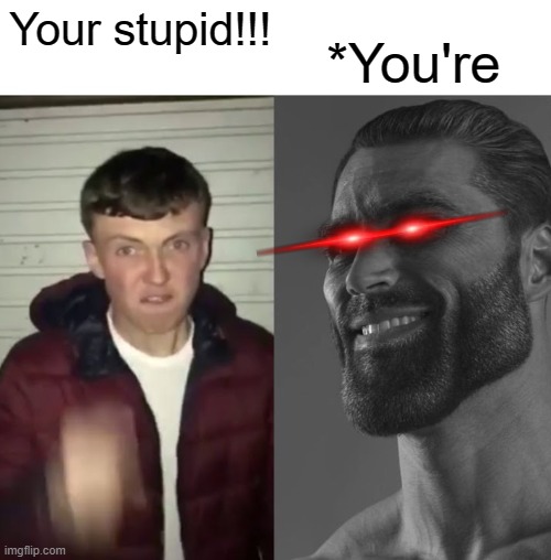*You're | *You're; Your stupid!!! | image tagged in average fan vs average enjoyer | made w/ Imgflip meme maker