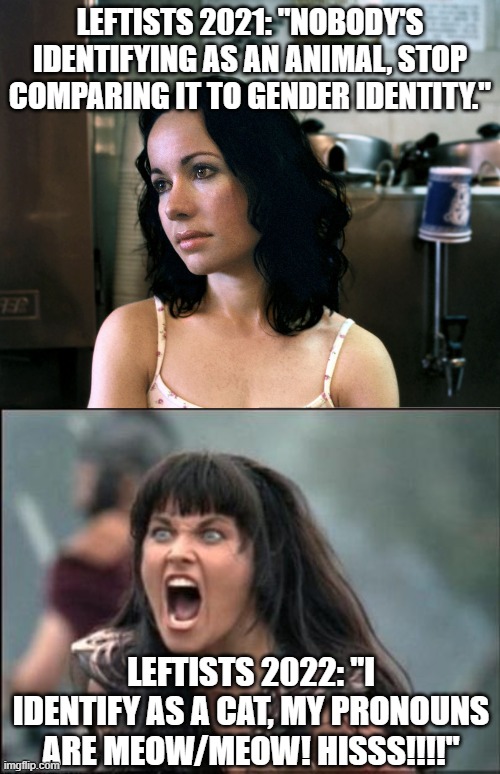 LEFTISTS 2021: "NOBODY'S IDENTIFYING AS AN ANIMAL, STOP COMPARING IT TO GENDER IDENTITY."; LEFTISTS 2022: "I IDENTIFY AS A CAT, MY PRONOUNS ARE MEOW/MEOW! HISSS!!!!" | image tagged in snarky janeane,angry xena | made w/ Imgflip meme maker