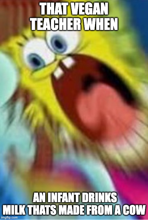 Yelling Spongebob | THAT VEGAN TEACHER WHEN; AN INFANT DRINKS MILK THATS MADE FROM A COW | image tagged in yelling spongebob | made w/ Imgflip meme maker
