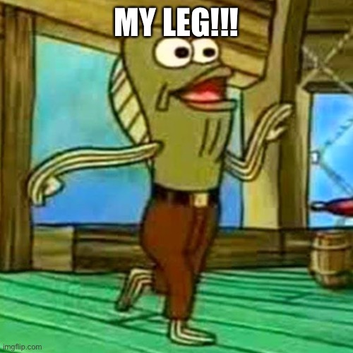 my leg | MY LEG!!! | image tagged in my leg | made w/ Imgflip meme maker