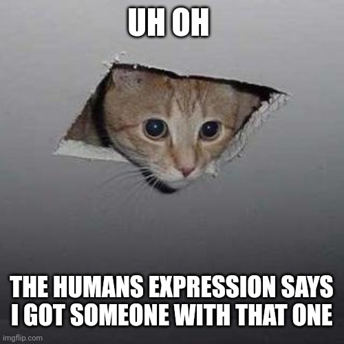 Ceiling Cat | UH OH; THE HUMANS EXPRESSION SAYS I GOT SOMEONE WITH THAT ONE | image tagged in memes,ceiling cat | made w/ Imgflip meme maker