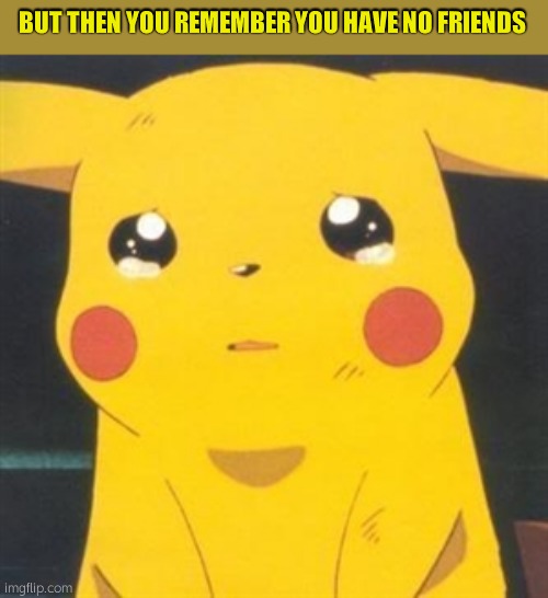 I'm sorry sad pikachu | BUT THEN YOU REMEMBER YOU HAVE NO FRIENDS | image tagged in i'm sorry sad pikachu | made w/ Imgflip meme maker