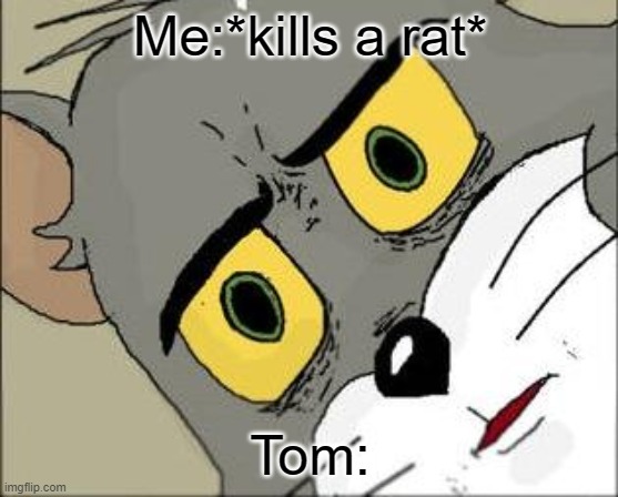 Remake tom meme |  Me:*kills a rat*; Tom: | image tagged in concerned tom | made w/ Imgflip meme maker