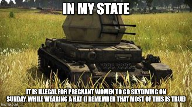 Wirbelwind | IN MY STATE; IT IS ILLEGAL FOR PREGNANT WOMEN TO GO SKYDIVING ON SUNDAY, WHILE WEARING A HAT (I REMEMBER THAT MOST OF THIS IS TRUE) | image tagged in wirbelwind | made w/ Imgflip meme maker