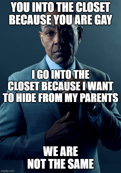 every kid has done this in a empty closet | YOU INTO THE CLOSET BECAUSE YOU ARE GAY; I GO INTO THE CLOSET BECAUSE I WANT TO HIDE FROM MY PARENTS; WE ARE NOT THE SAME | image tagged in we are not the same,memes | made w/ Imgflip meme maker