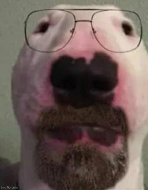 Real?!?!?! | made w/ Imgflip meme maker