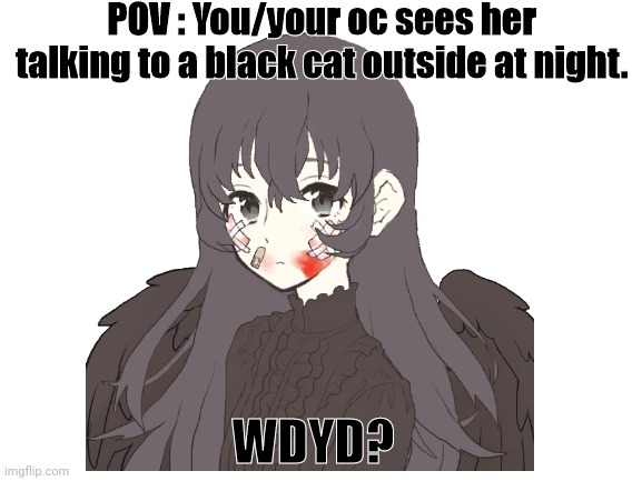 POV : You/your oc sees her talking to a black cat outside at night. WDYD? | made w/ Imgflip meme maker