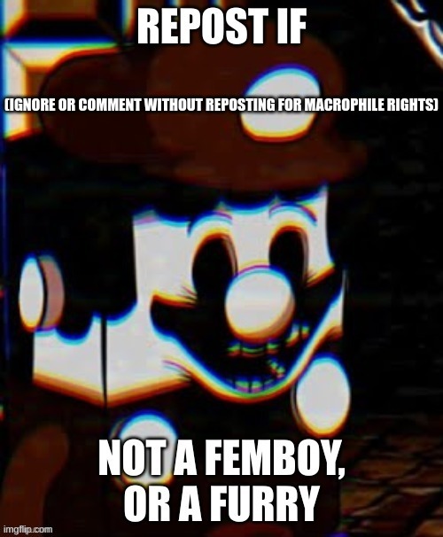 OMG LEGO MARIO |  (IGNORE OR COMMENT WITHOUT REPOSTING FOR MACROPHILE RIGHTS) | image tagged in memes,funny,repost,femboy,furry,macrophile | made w/ Imgflip meme maker