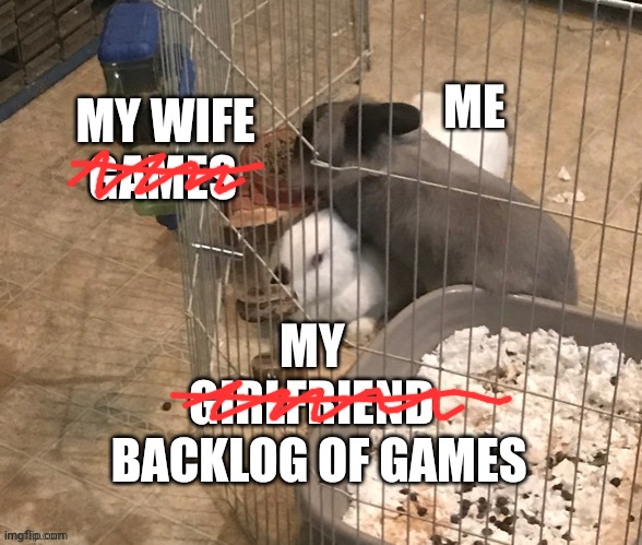 MY WIFE BACKLOG OF GAMES | made w/ Imgflip meme maker