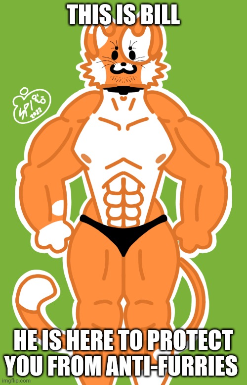 Stronk cat | THIS IS BILL; HE IS HERE TO PROTECT YOU FROM ANTI-FURRIES | image tagged in bill the buff cat | made w/ Imgflip meme maker